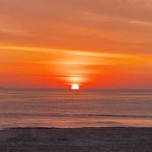 Meet your Posher, Darlene